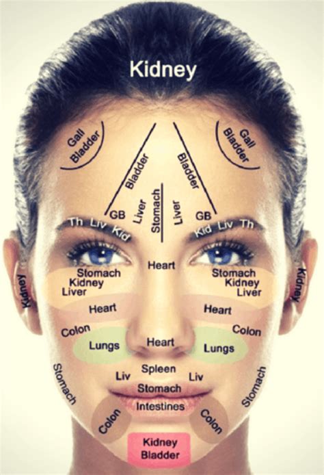 Face Reflexology Chart