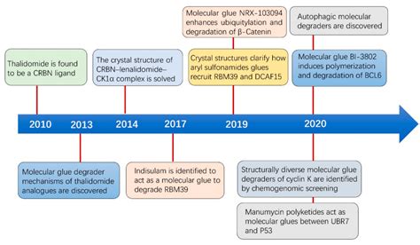 Molecular Glue Decoded The Next Big Trend In The Small Molecule Drug Arena