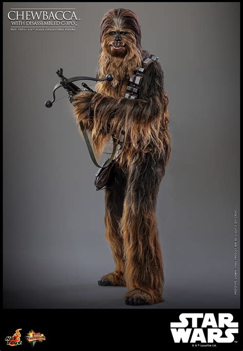 Chewbacca With Disassembled C Po Sixth Scale Figure By Hot Toys Sideshow Collectibles