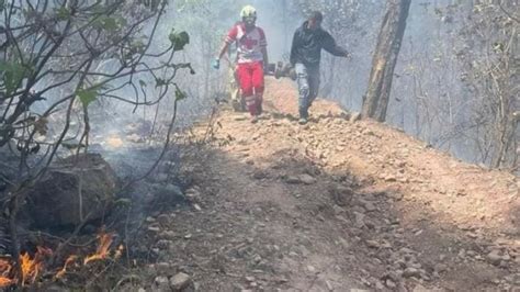 Suman Cuatro Los Muertos Por Incendio Forestal En Donato Guerra POSTA