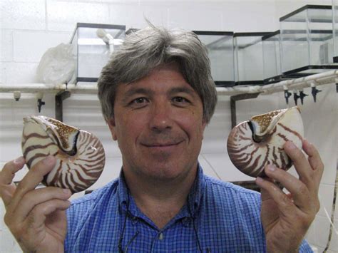Sea smarts: Scientists studying mollusks discover there is more than ...