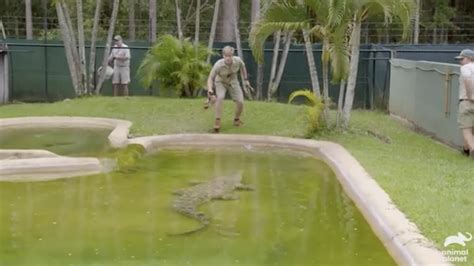 Robert Irwin In Close Call With Cranky Croc At Australia Zoo Kidsnews