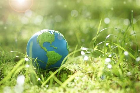 hinh anh bao ve moi truong xanh sach dep  nghia nhat