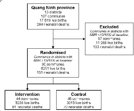 Participant flow in NeoKIP trial. | Download Scientific Diagram