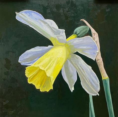 gary westall daffodil   painting oil  canvas  sale