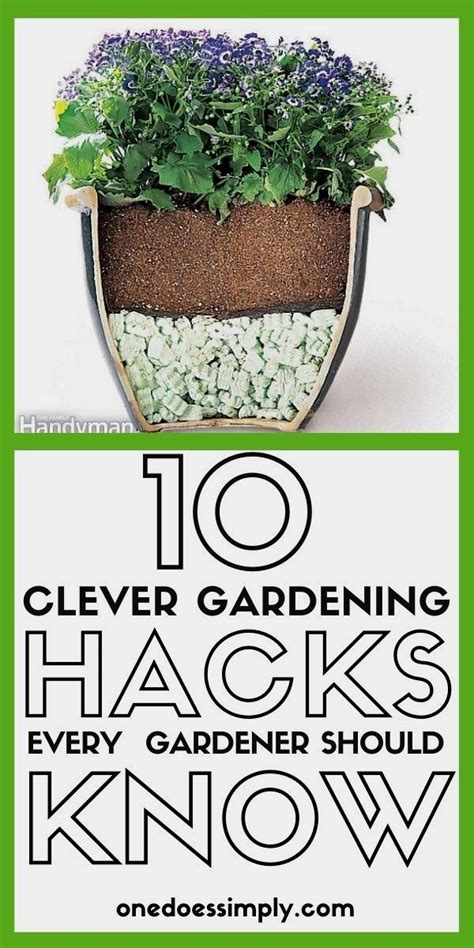 Clever Gardening Hacks Every Gardener Should Know In Garden