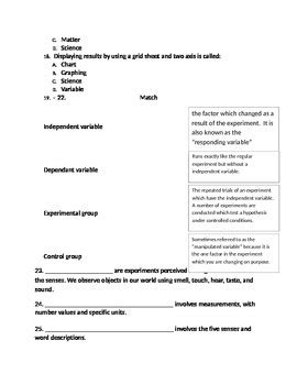 Scientific Investigation Review Quiz By Matt Hoyler TpT