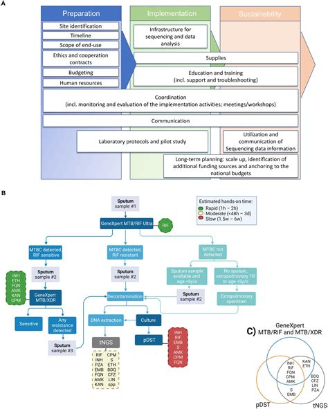 Frontiers Implementation Of Targeted Next Generation Sequencing For