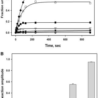 Unwinding Of DNA Substrates With Varying Length Of 5 Overhang By