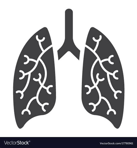 Lungs Glyph Icon Medicine And Healthcare Vector Image