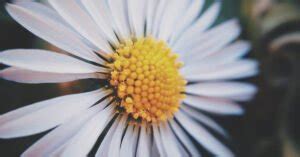 wont    number  transforms spiritual meaning