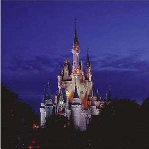 Cinderella Castle at night - Walt Disney World Photo (818760) - Fanpop