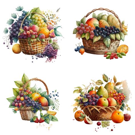 Fruit Basket Watercolor Digital Downloads Fruit Basket Clipart Fruit