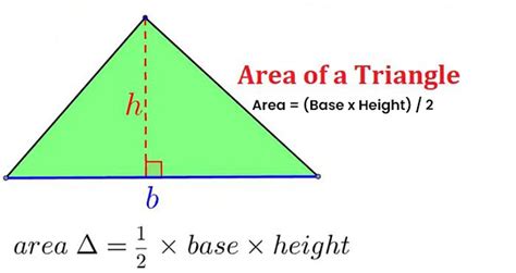 understanding  area   triangle unveiling  mathematical magic