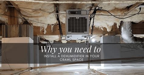 Why You Need To Install A Dehumidifier In Your Crawl Space