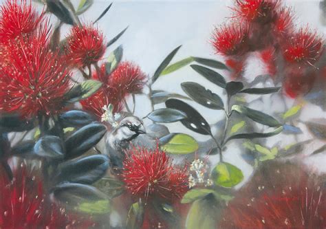 pohutukawa  donpackwood  deviantart