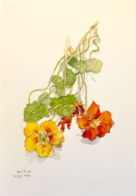 Pin By Shachar Katz On My Botanical Art Botanical Art Art