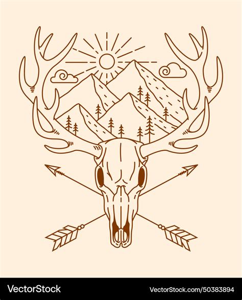 Deer Skull Line Art Royalty Free Vector Image Vectorstock