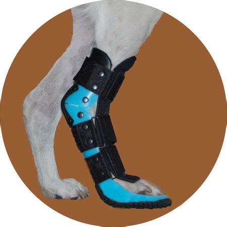 Ортез скакательного сустава — Zooplaneta.shop