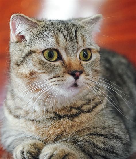 Kat Von D Nude Imaginative Minds