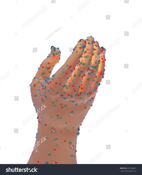 Hand Germs Disease Spread And The Dangers Of Spreading Illness In