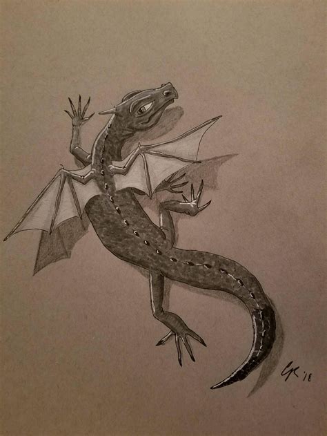 Lizard - Drawing Skill