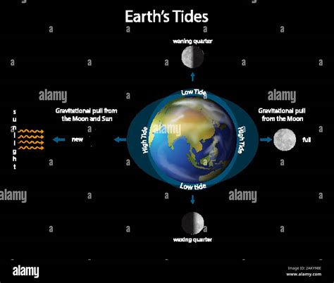 Sch Ma Montrant Les Mar Es De La Terre Avec De La Terre Et De La Lune