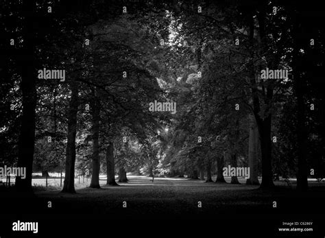 Mono image hi-res stock photography and images - Alamy