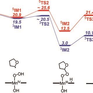 Gibbs free energy profile kcal mol¹ for reaction of CH bond