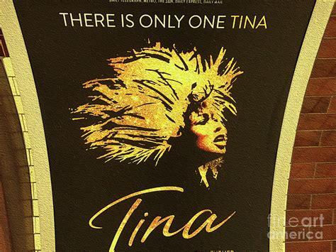 Tina Turner Poster 03 Photograph By Surunitemi Akanni Oye Pixels