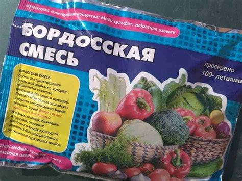 Фунгициды для растений: список препаратов