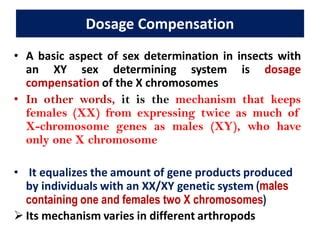 Sex Determination In Insects Pdf Infertility Reproductive Health