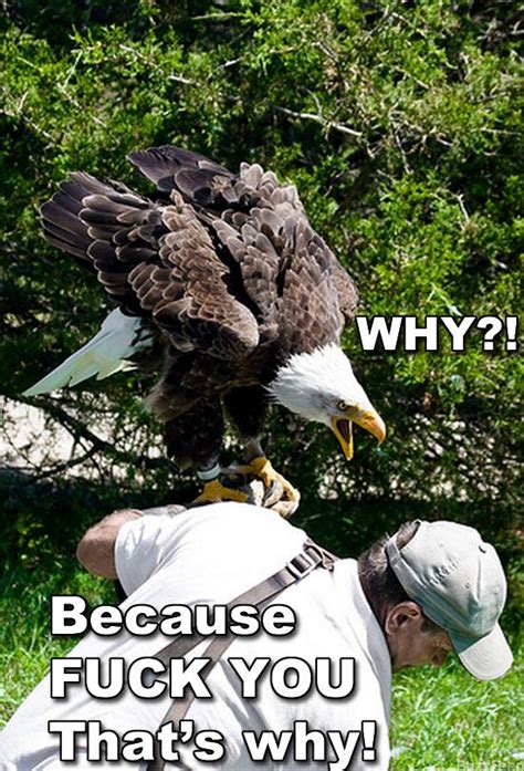 Why Because Fuck You That S Why Know Your Meme