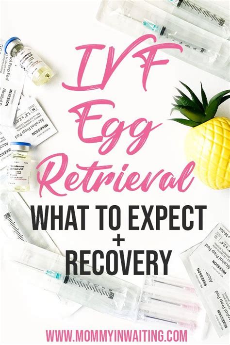 What To Expect During An Ivf Egg Retrieval Artofit