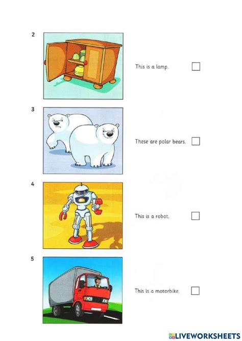 starters worksheet    worksheets