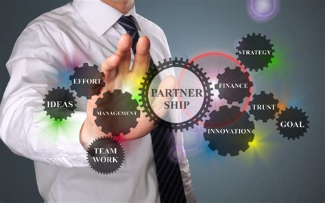 strategic partnership programme   dti