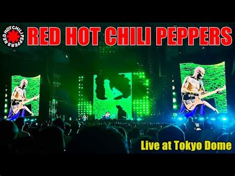 Red Hot Chili Peppers Youtube