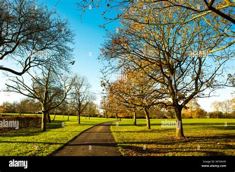An Autumnal Walk Through A London Park Stock Photo Alamy