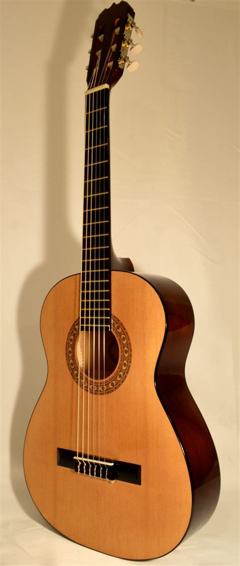 Beginner Acoustic Guitar Sunlite Gcn 800 San Marino Music Center