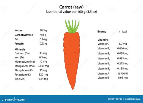 Carrot Raw Nutritional Value Per 100 G 35 Oz Stock Vector