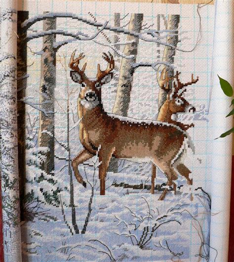 Олени в зимнем лесу | У истока