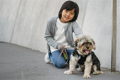Discover Unique Thai Dog Names for Your Furry Friend Today