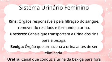 Anatomia e Fisiologia do corpo feminino.pptx