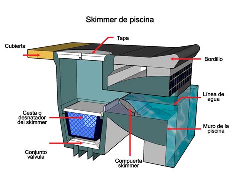 ¿Qué es un skimmer de piscina y para qué sirve? - AulaPiscina