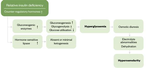 Diabetes Mellitus Complications Pathophysiology