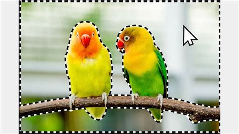 Adobe выпустила новые ИИ-инструменты для Photoshop и Premiere ...