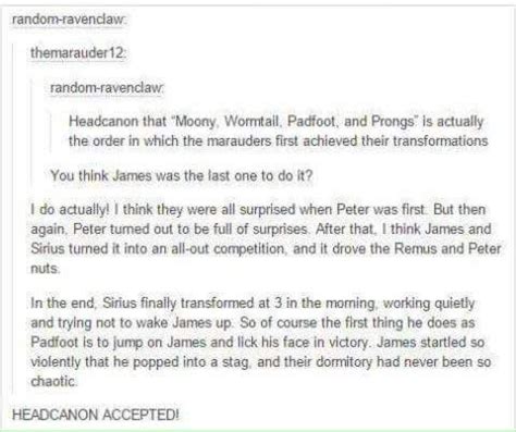 Pin By Zahra Fakhri On Harry Potter Gay Harry Potter Harry Potter Obsession Harry Potter Jokes