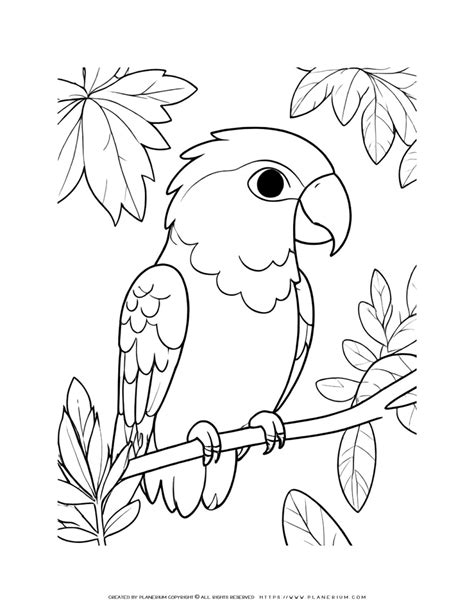 Fall Season Coloring Page Fall Hat Planerium