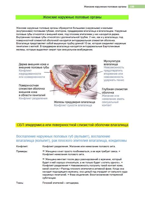 Вульвит лечение / Спазм влагалища / Сухость влагалища - Стенин А.В ...