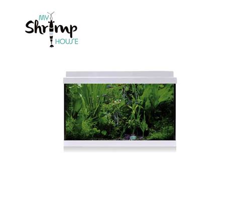 Acuario Litros Varios Modelos My Shrimp House